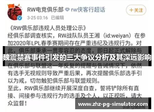 魏震禁赛事件引发的三大争议分析及其深远影响