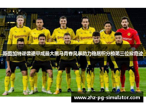 斯图加特逆袭德甲成最大黑马青春风暴助力稳居积分榜第三位掀奇迹